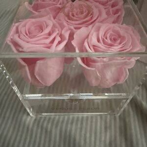Venus Et Fleur Pink Roses in Clear Box